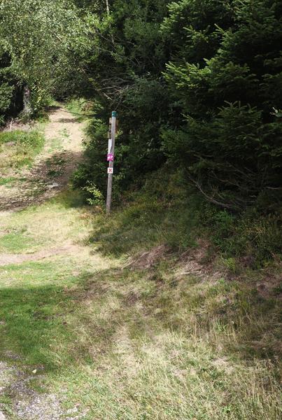Rando-poussette du Pré des Dames- Itinéraire pédestre_Alpe Du Grand Serre