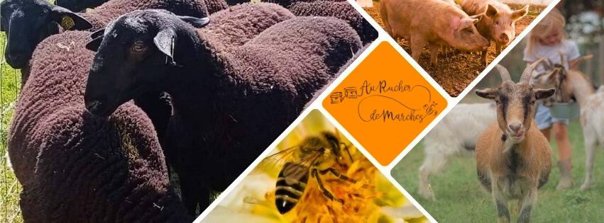 Au Rucher de Marches / La Petite Ferme Maoliga_Marches