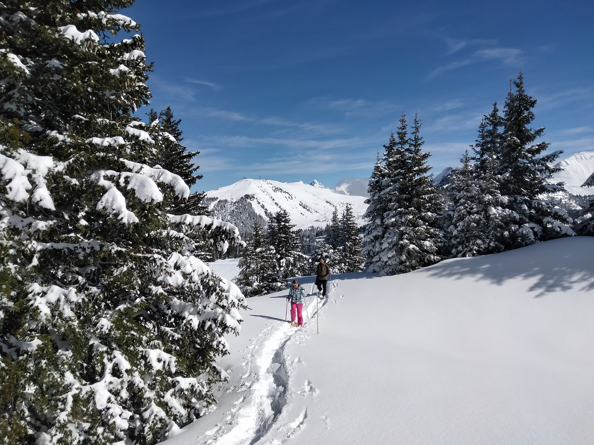 Sneeuwschoenwandelen in poedersneeuw