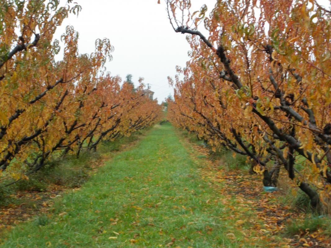 Le charme de l'automne