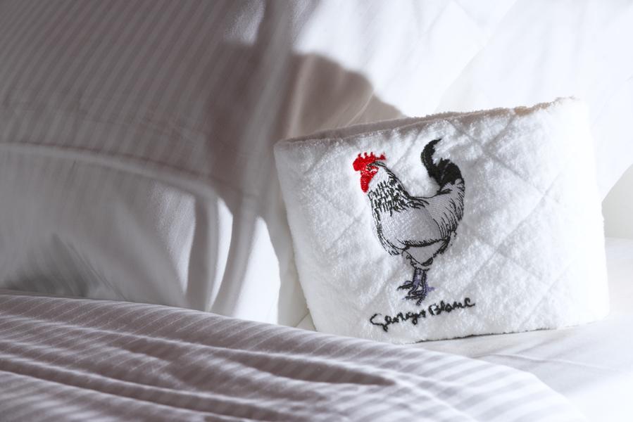 Château d'Epeyssoles_Vonnas