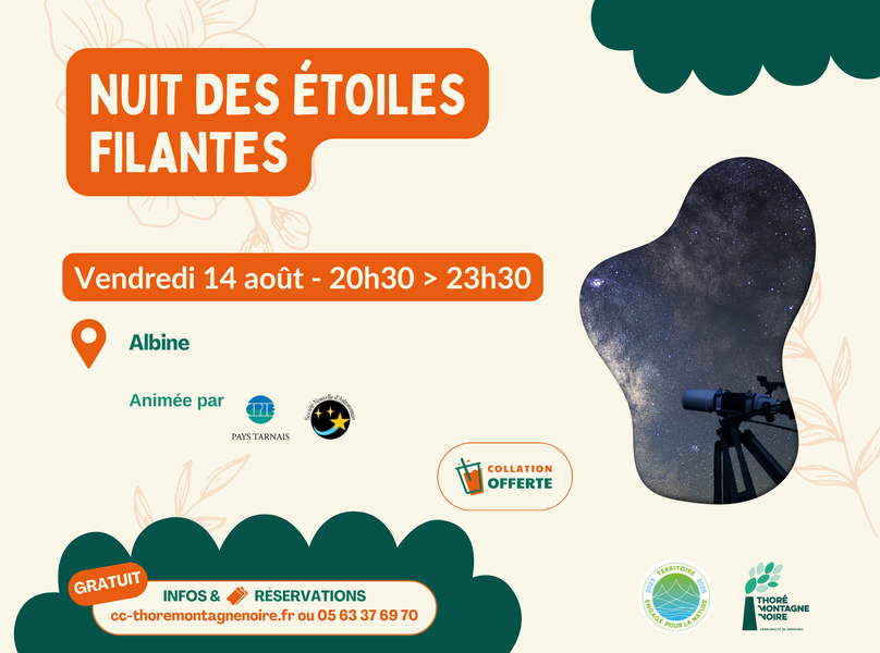 Nuit des étoiles filantes