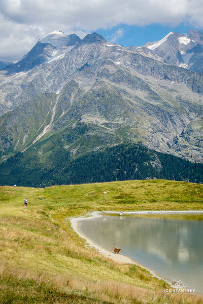 Pierres Blanches randonnée aux Contamines