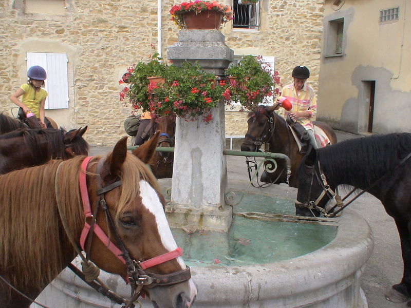 Horse riding school le Mazet