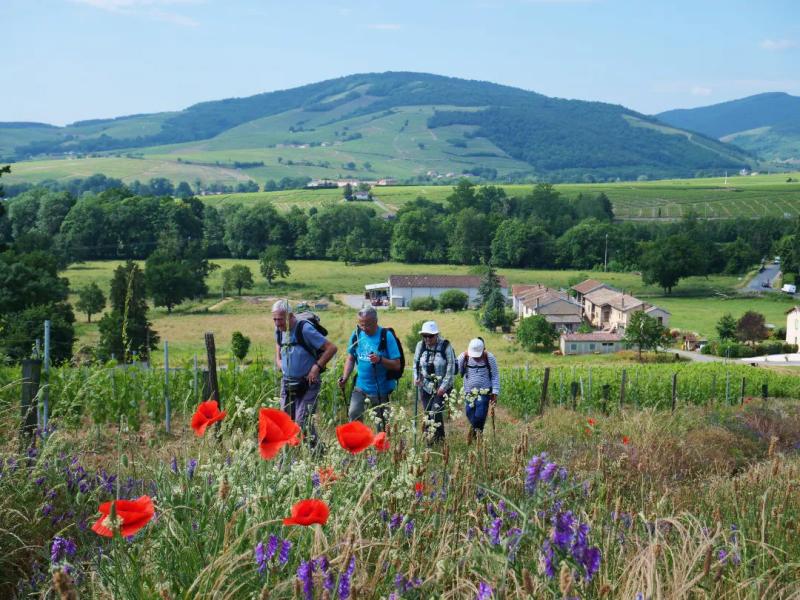 GV Sport Beaujolais_Cercié