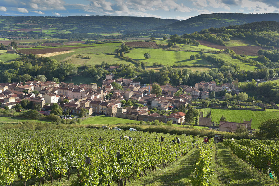 Domaine Charmensat