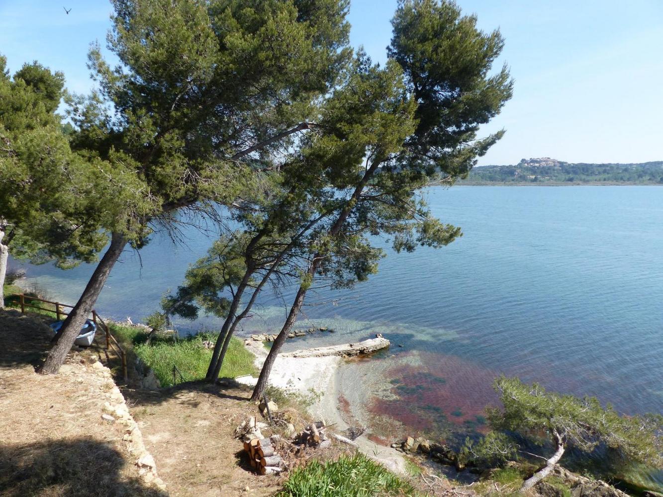 Au Bord de l'Etang - Villa Jeanne, Miramas - photo 30