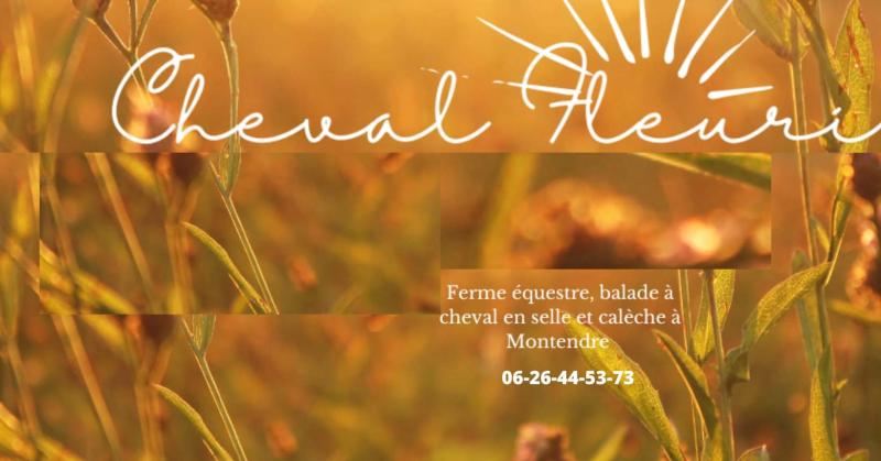 balade à cheval avec la ferme du cheval fleuri