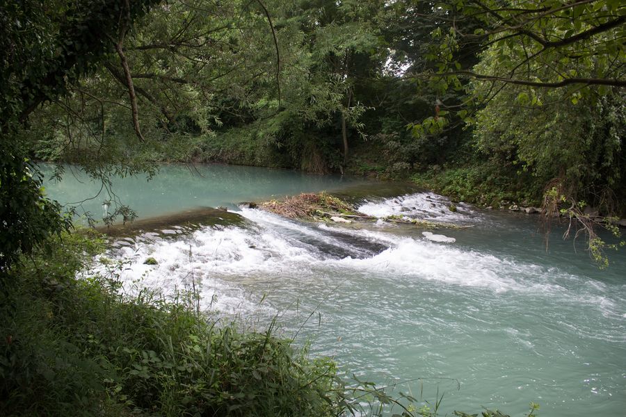 Réserve Naturelle Régionale du Haut Rhône Français