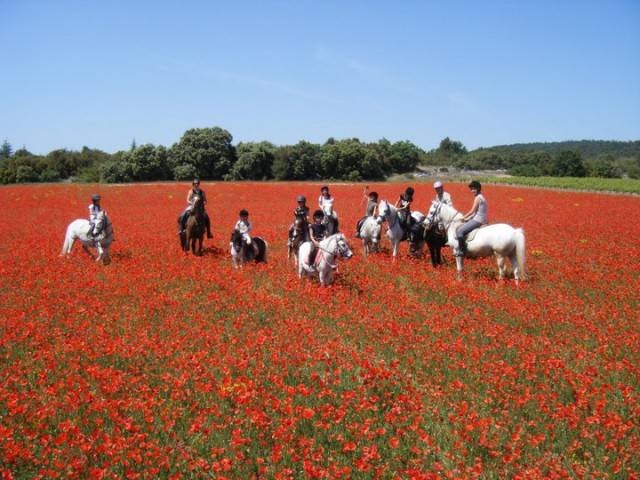 Balade Haras de Lagnes