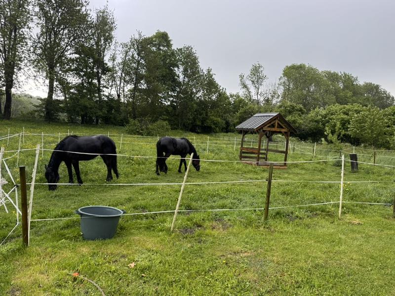 Chambres d'hôtes de la Ferme de Jonan_Saint-Honoré