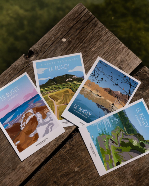 Horizon Bugiste_Belley