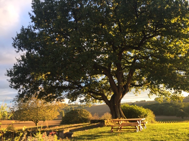 CHARLOTTE LA ROULOTTE