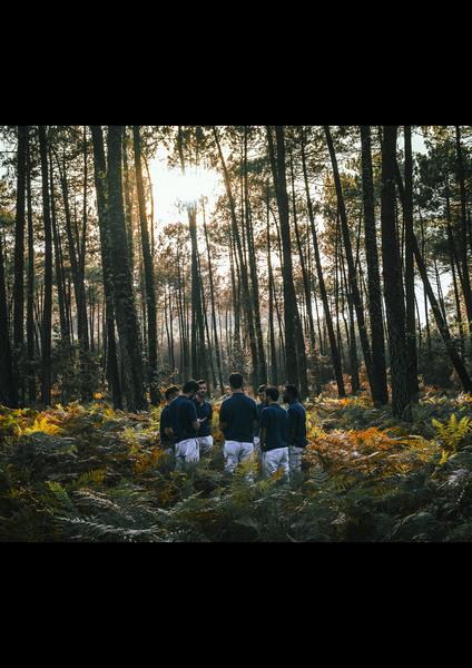 Boulevard des airs clip
