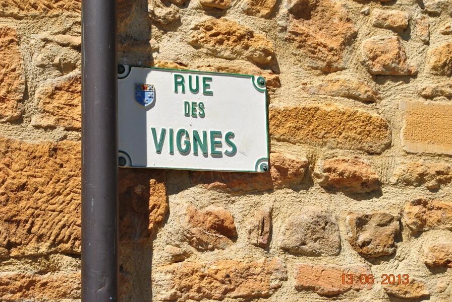 Domaine des Vignes d'Hôtes