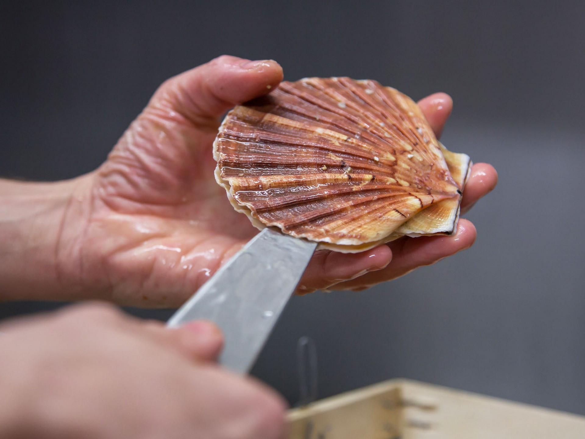 Vintrépide - photo 5