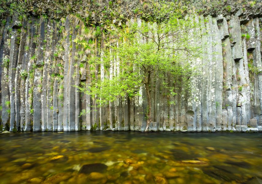 Fabras - Orgues basaltiques dans la vallée du Lignon-2 ©S.BUGNON
