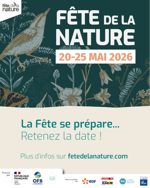 Fête de la nature : Atelier cueillette et cuisine de plantes sauvages
