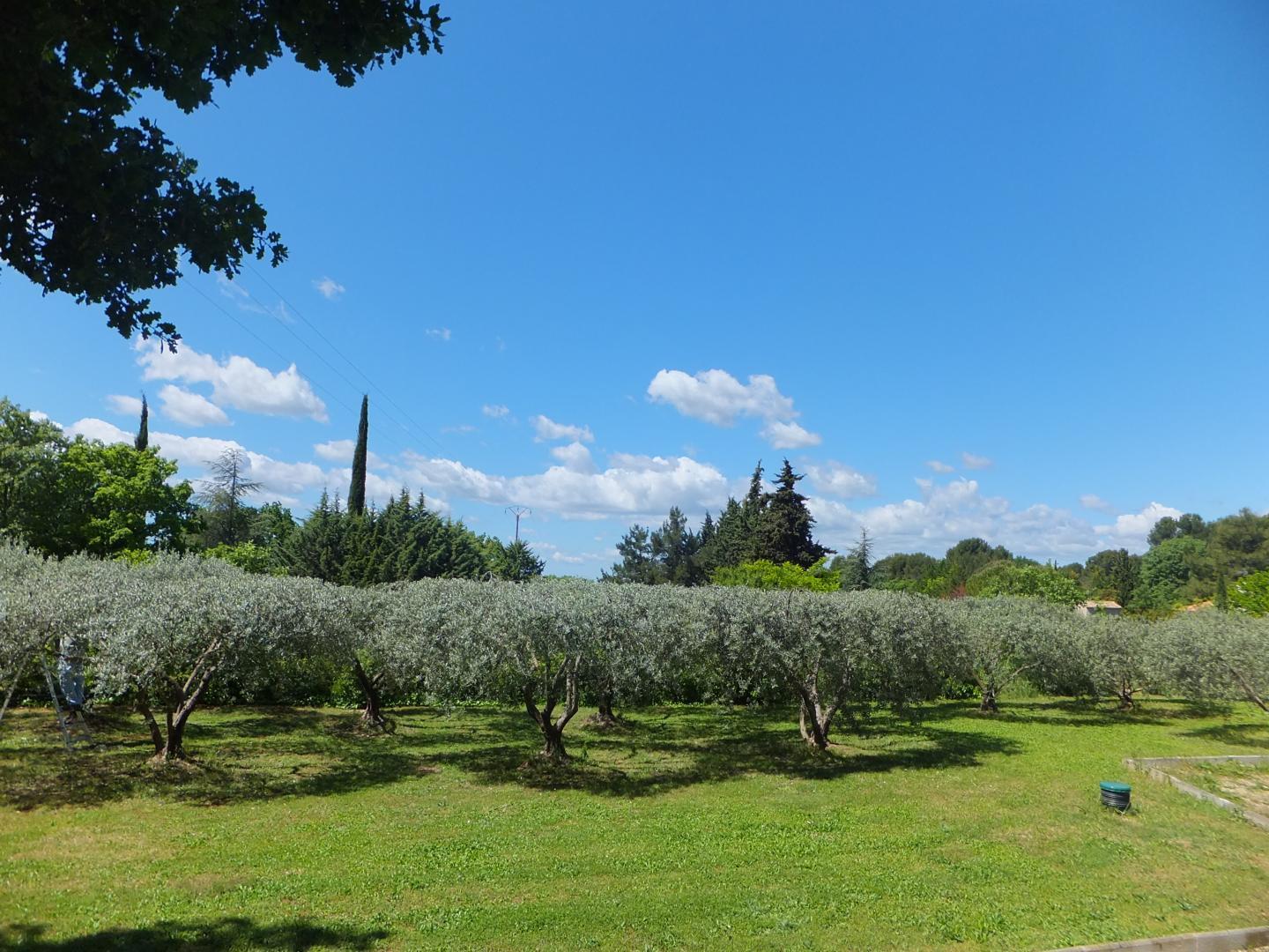 Le Clos Des Oliviers et la Tour, Saint-Cannat - photo 17