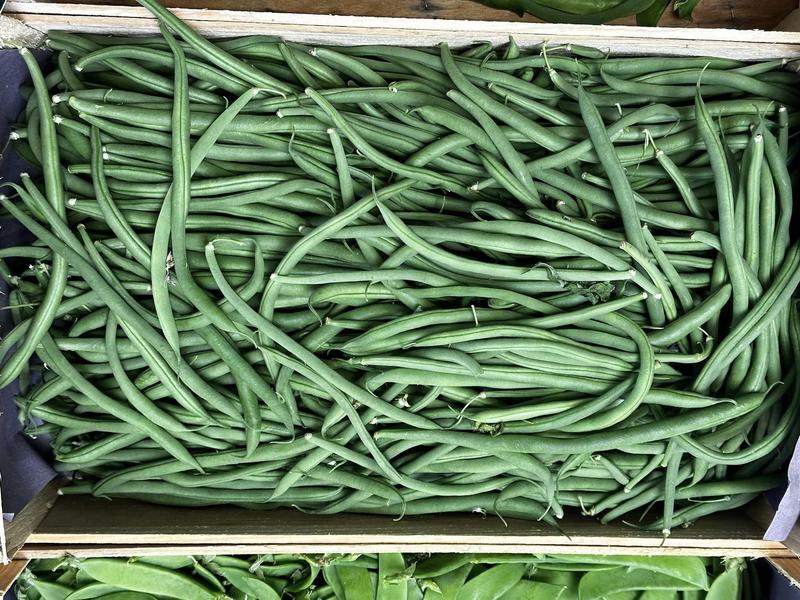 Archi'Frais - producteur - Saint-Chef - Balcons du Dauphiné