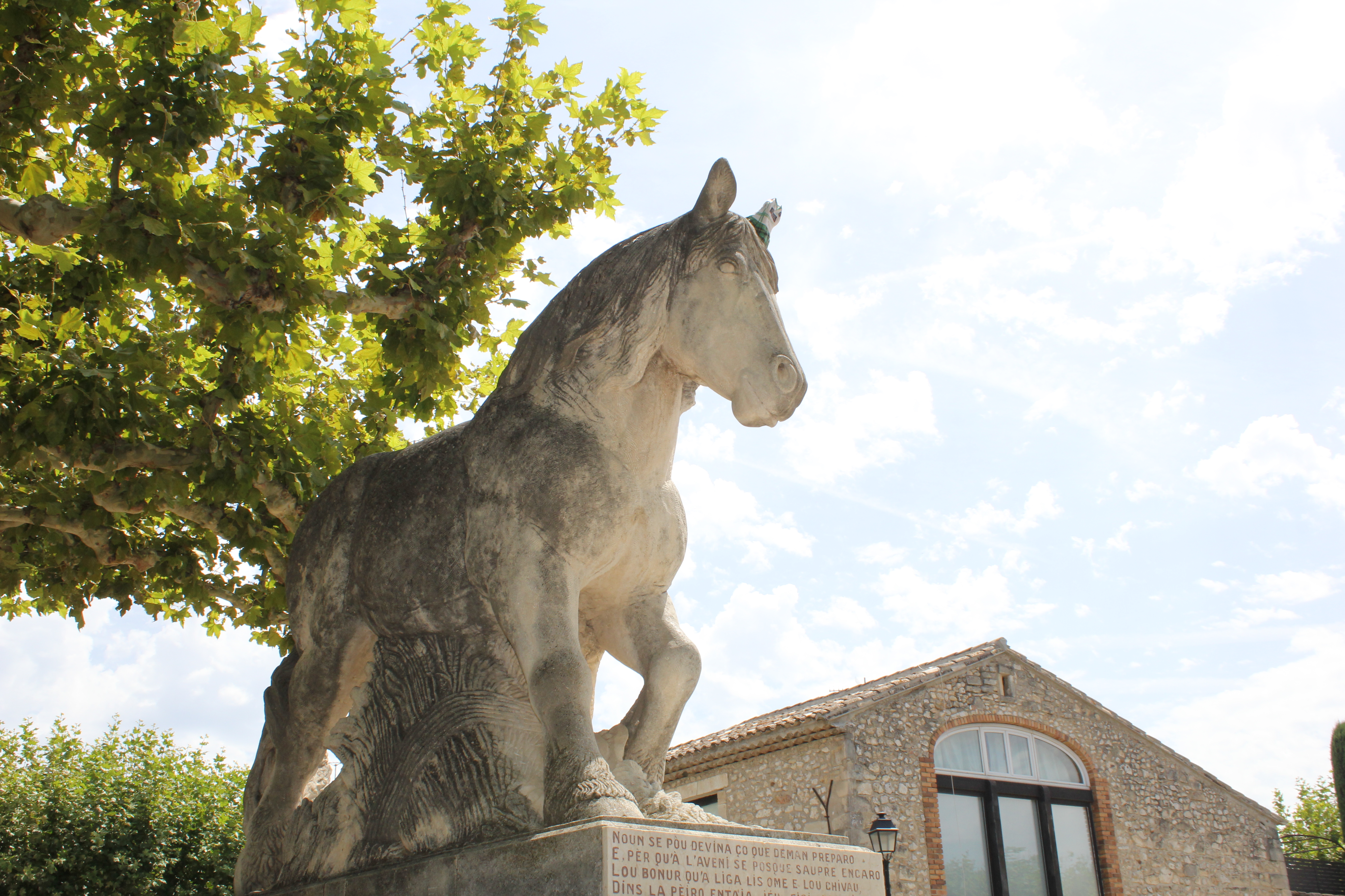 Le monument du Cheval, Mollégès - photo 6
