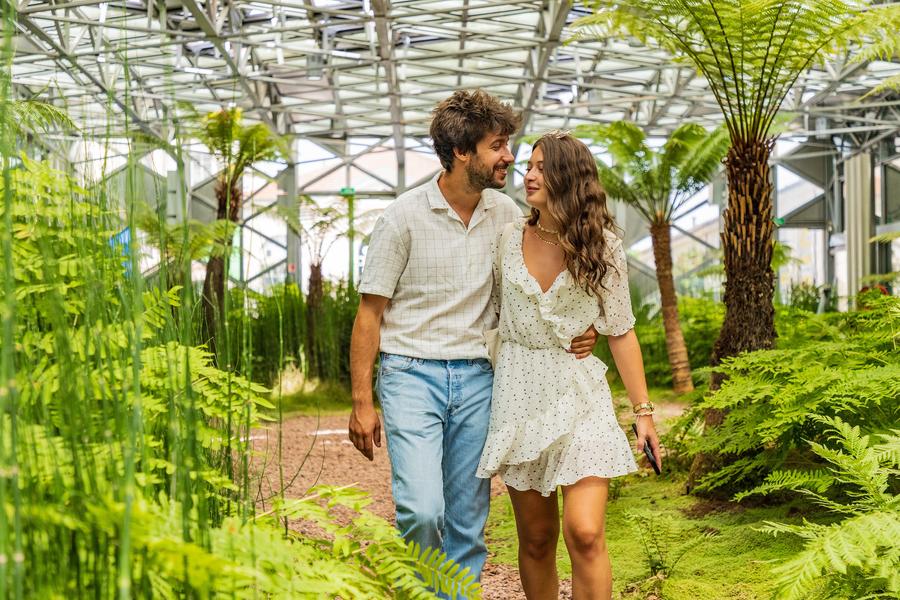 La Serre_Saint-Étienne