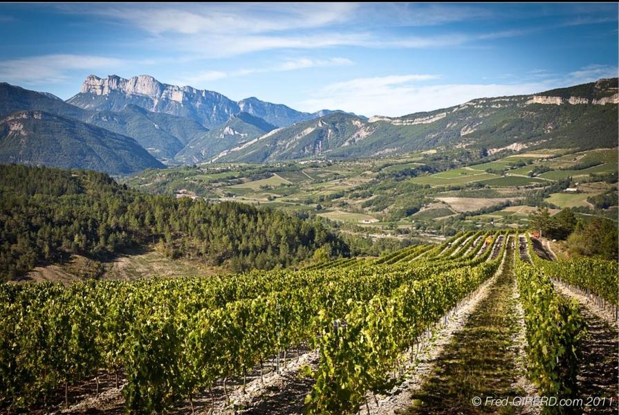 De Ferme en Ferme - GAEC des Adrets / Cave Maillefaud_Barsac