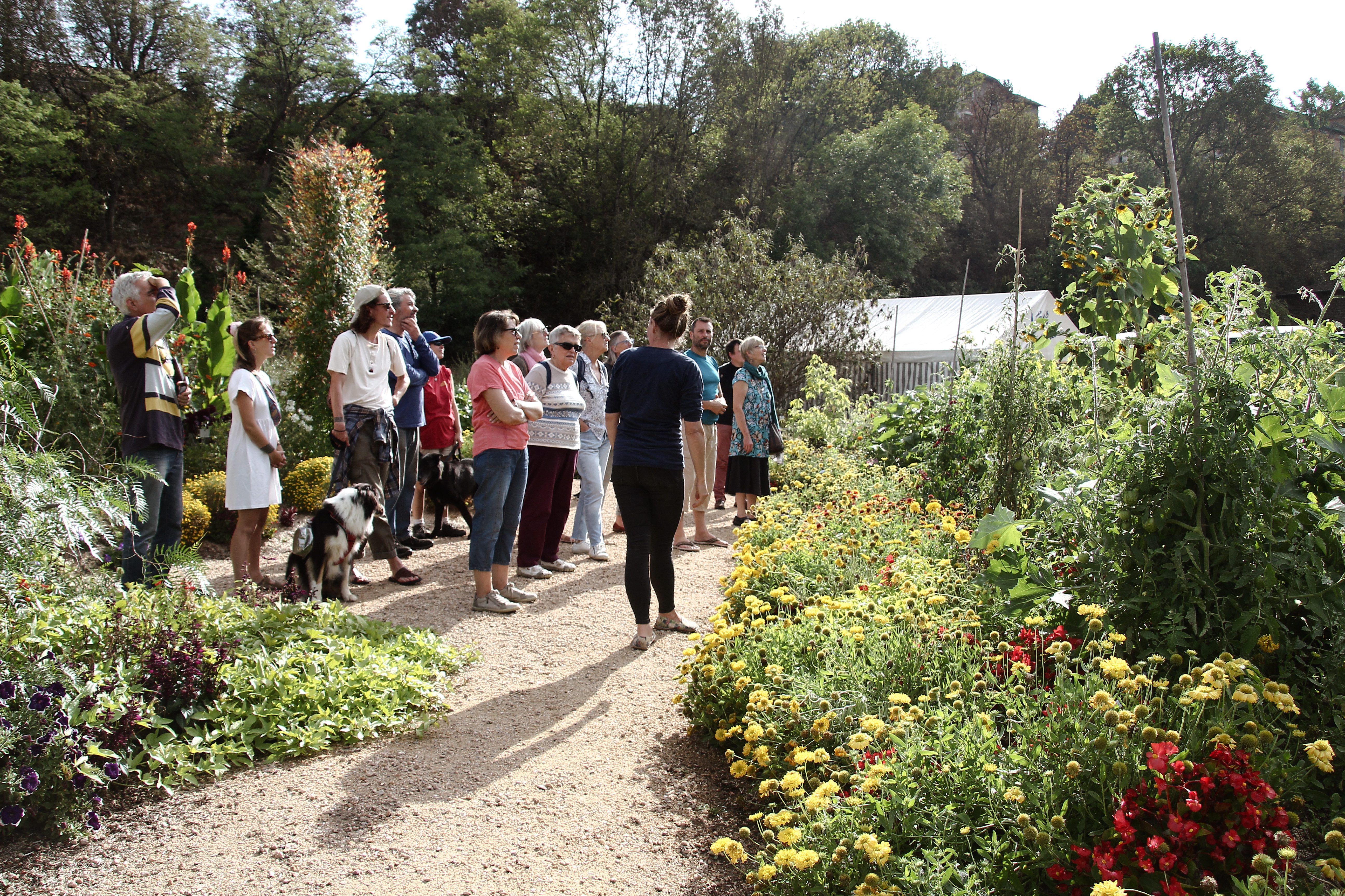 Visite guidée du jardin