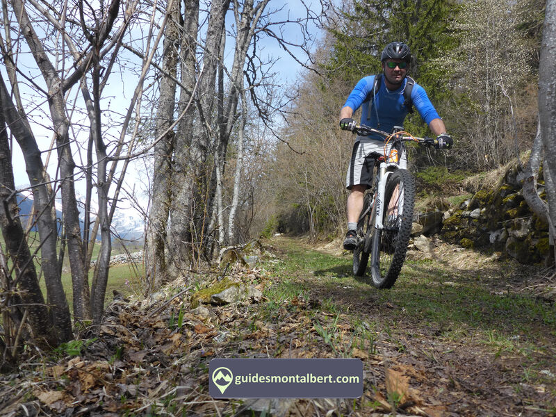 VTT