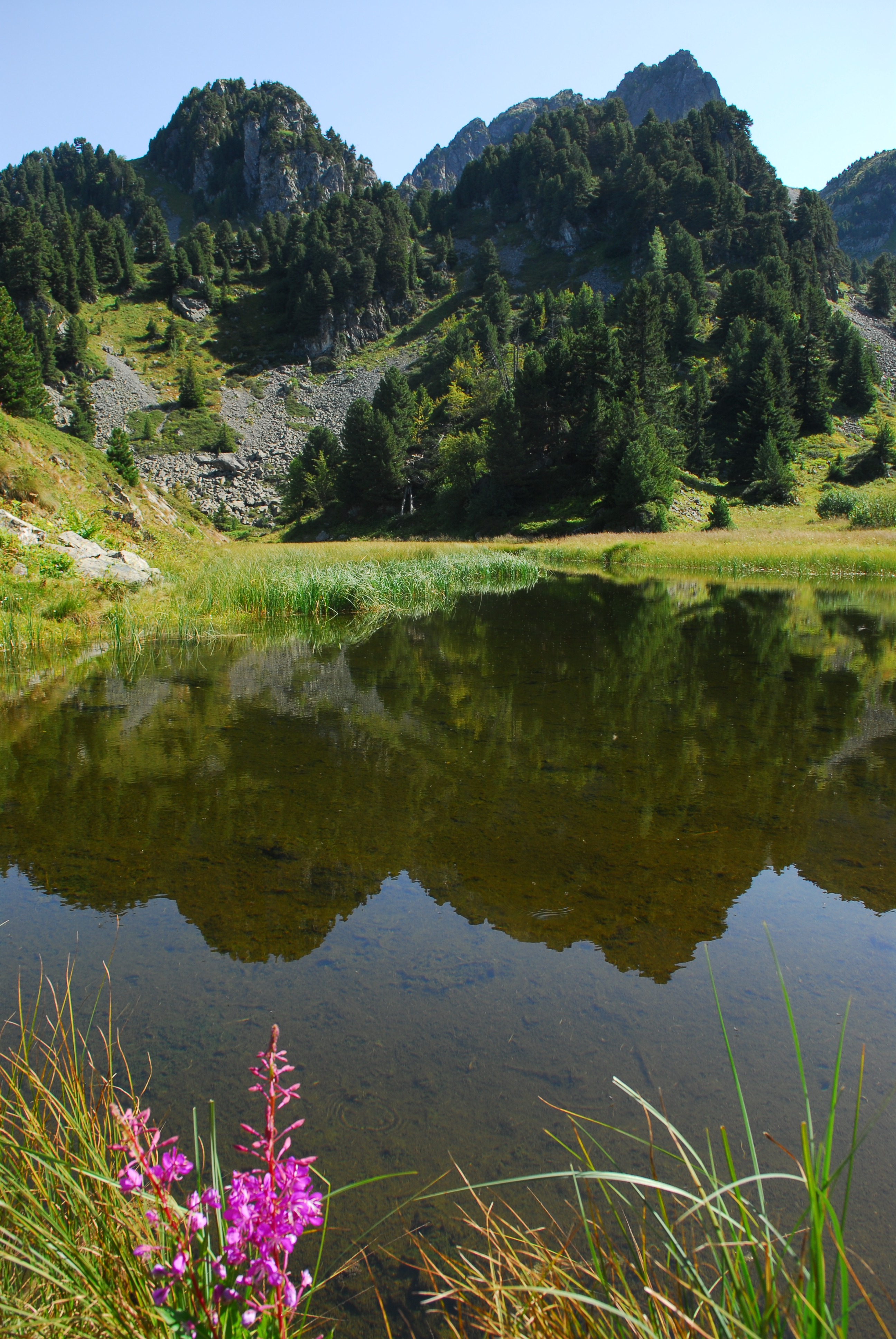 photosFeed-https://static.apidae-tourisme.com/filestore/objets-touristiques/images/188/192/6078652.jpg
