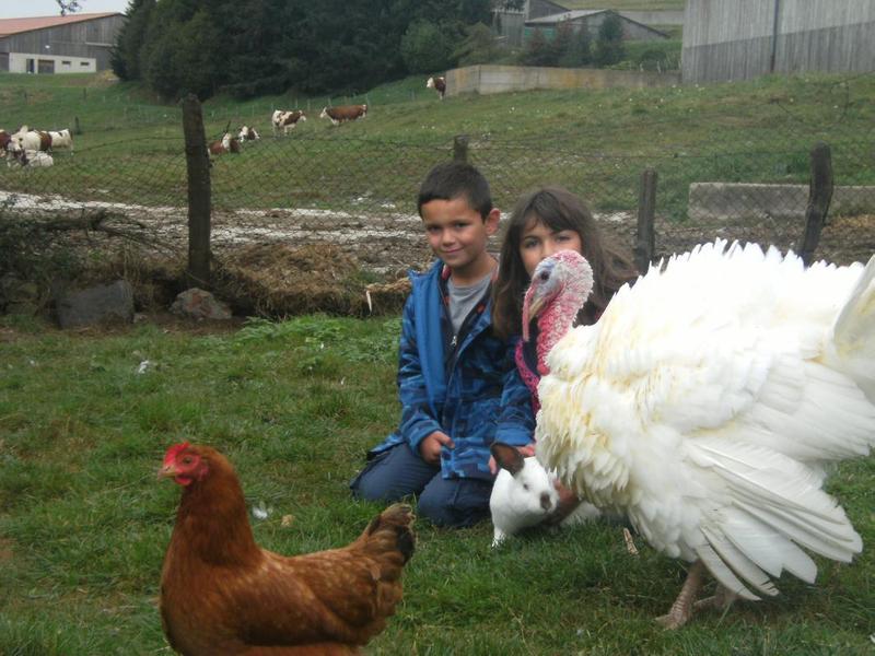 Gîte à la Ferme \