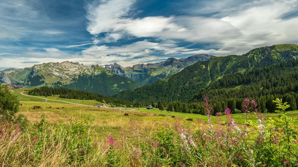 Samoens 1600