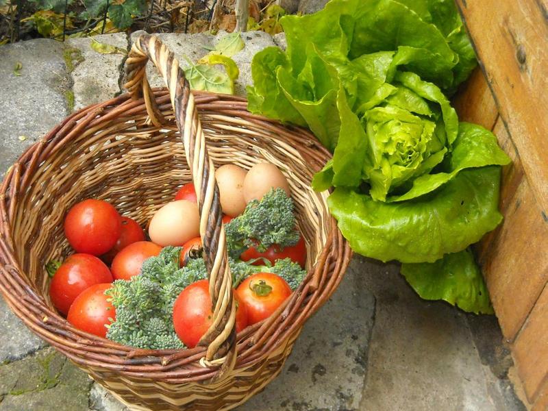 Gîte des Monneries d\'en Haut à Poule-les Echarmeaux dans les Monts du Beaujolais - Proximité Col des Echarmeaux dans le Rhône : une bouffée de nature !