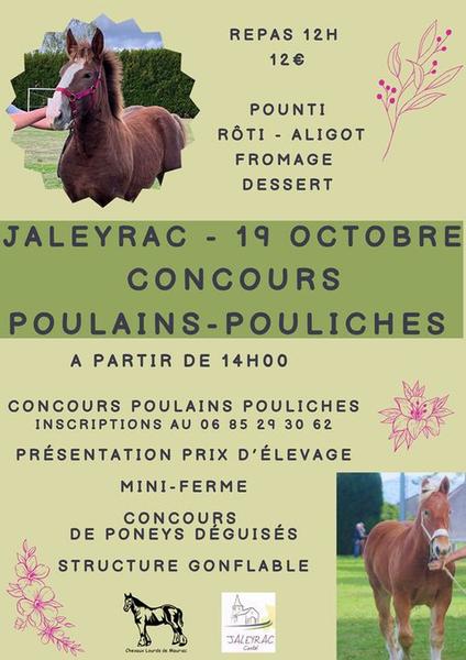 Concours poulains - pouliches