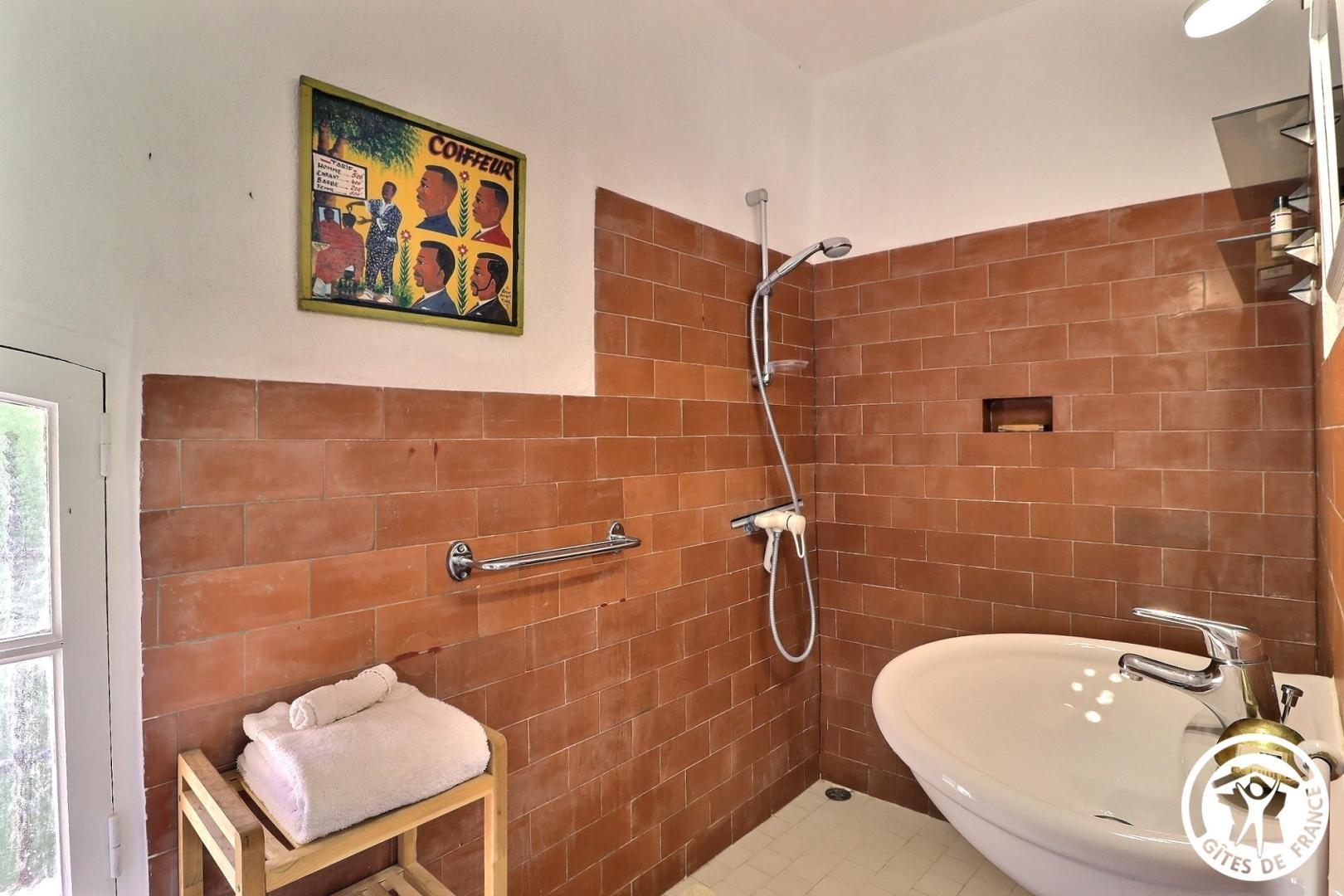 La Feuillère, Saint-Antonin-sur-Bayon - photo 24