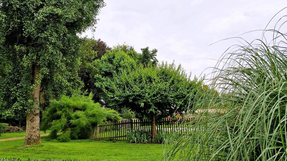 jardin et allée d'accès jardin et allée d'accès
