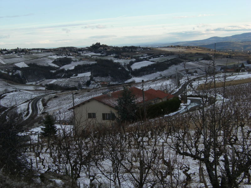 Domaine de Fonterouilles