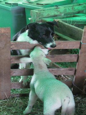 La Ferme de Clémence