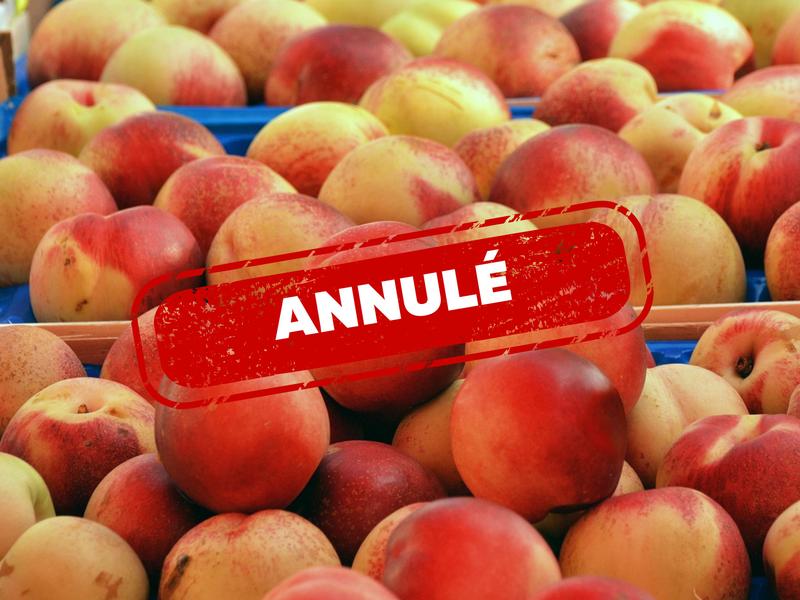 Marché nocturne des artisans et producteurs locaux