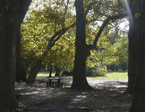 Parc de Vaugrenier - Villeneuve-Loubet
