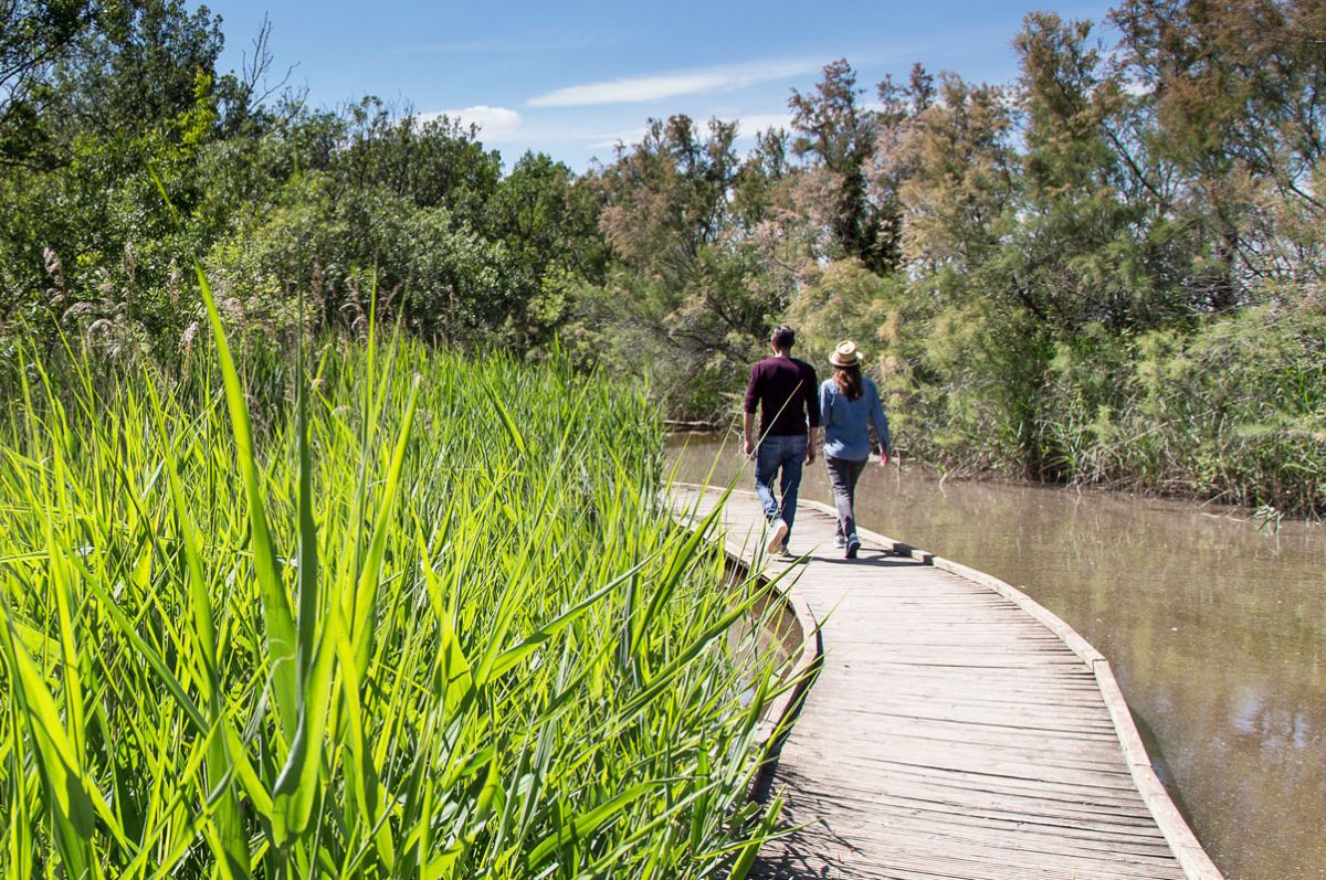Journée mondiale des zones humides aux Marais du Vigueirat