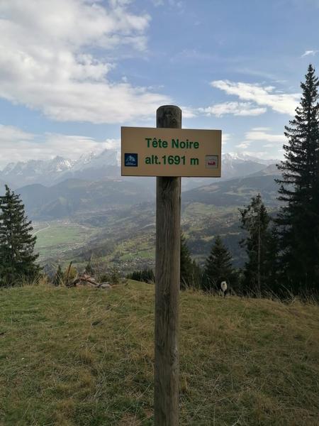 Croix de Tête Noire - sentier pédestre_Cordon