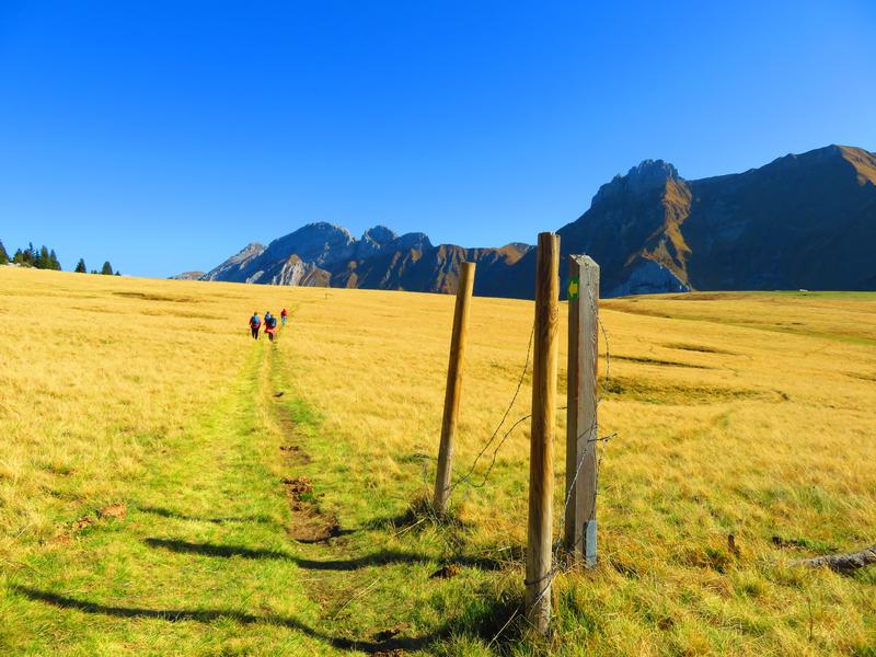 Les Rochers de Leschaux