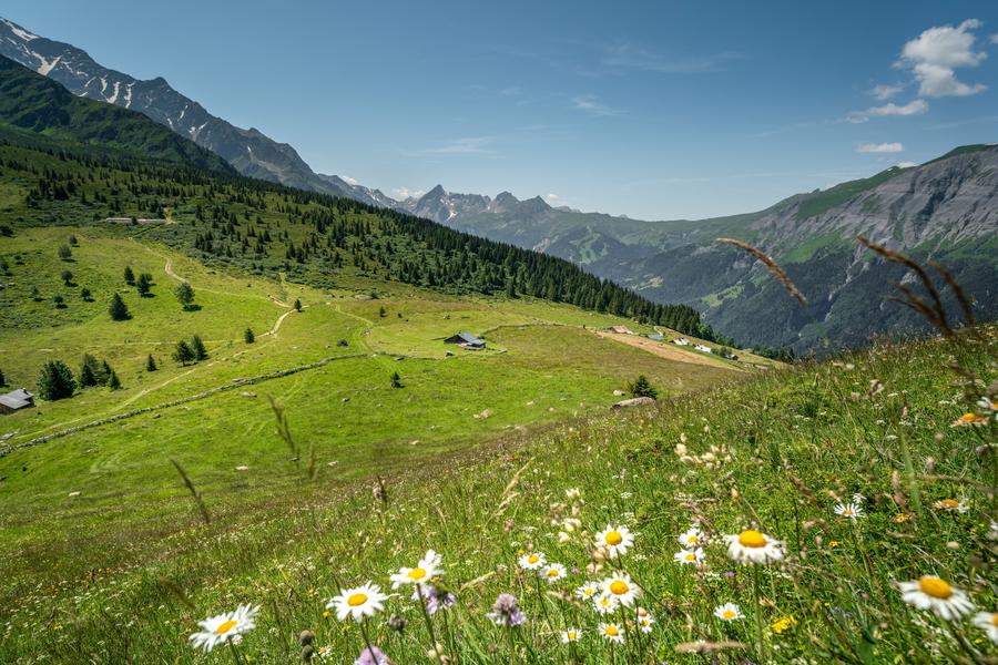 La Gruvaz - Le Truc - Alpage de Miage, boucle de randonnée_Saint-Gervais-les-Bains