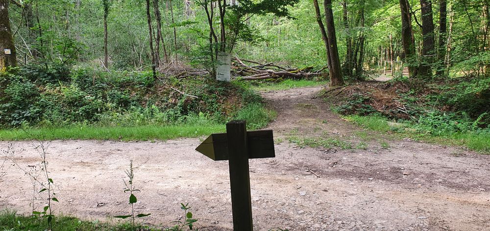 Arboretum d'Etrez - ND de Bourbouillon