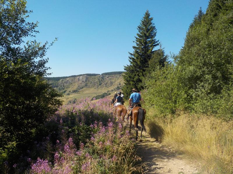 Centre équestre Le Domino