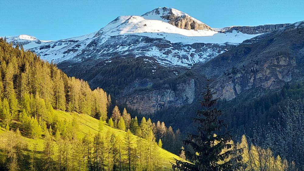 L'Alp et la Cîme Nègre