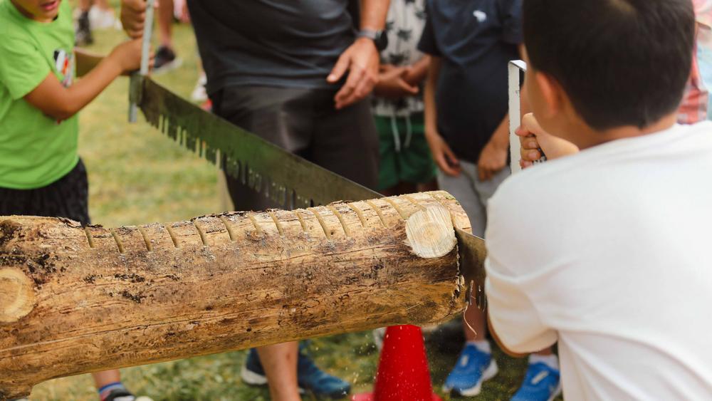 Fête de la montagne