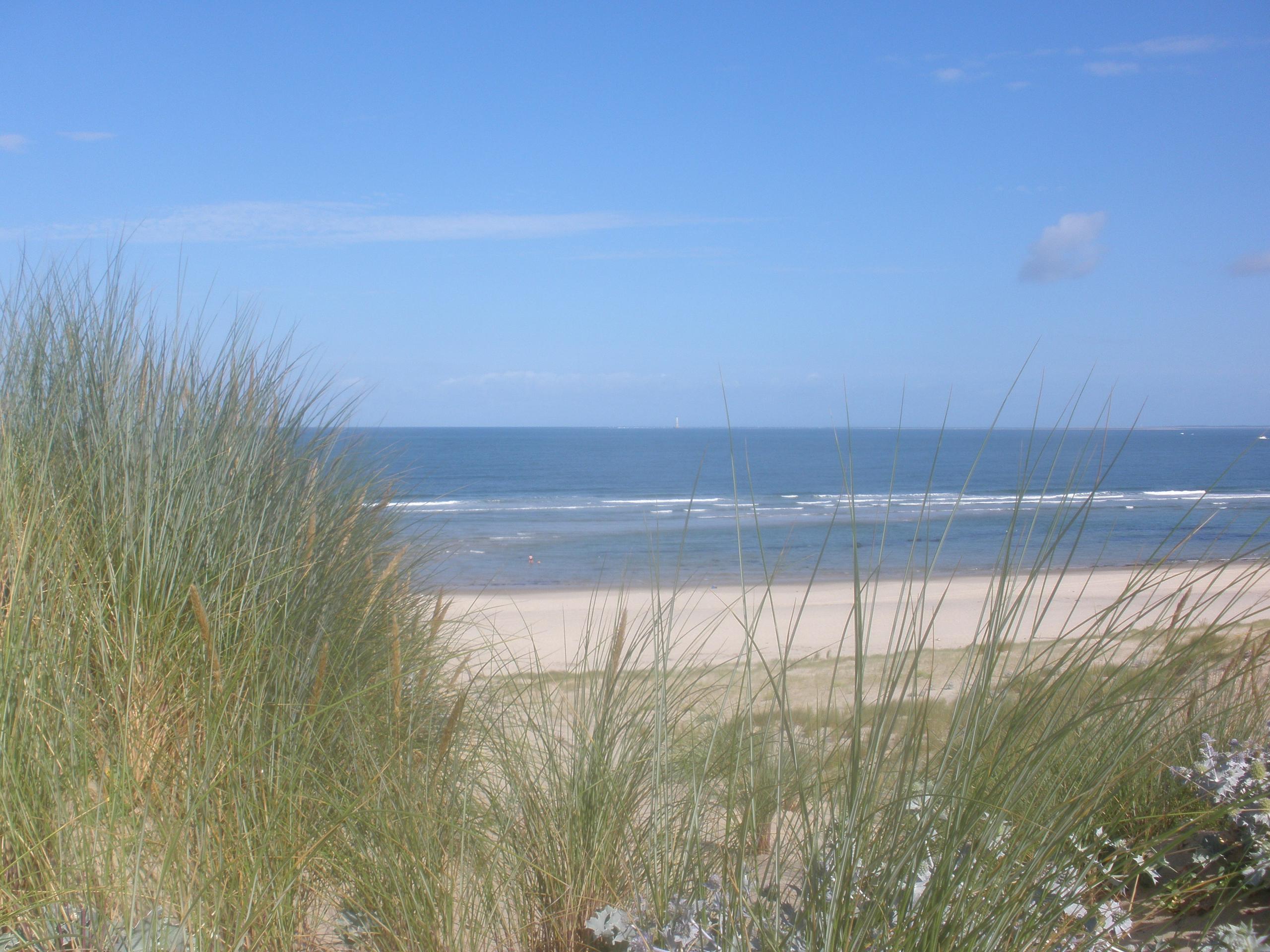 Yoga sur mer - Hypnose Ericksonienne