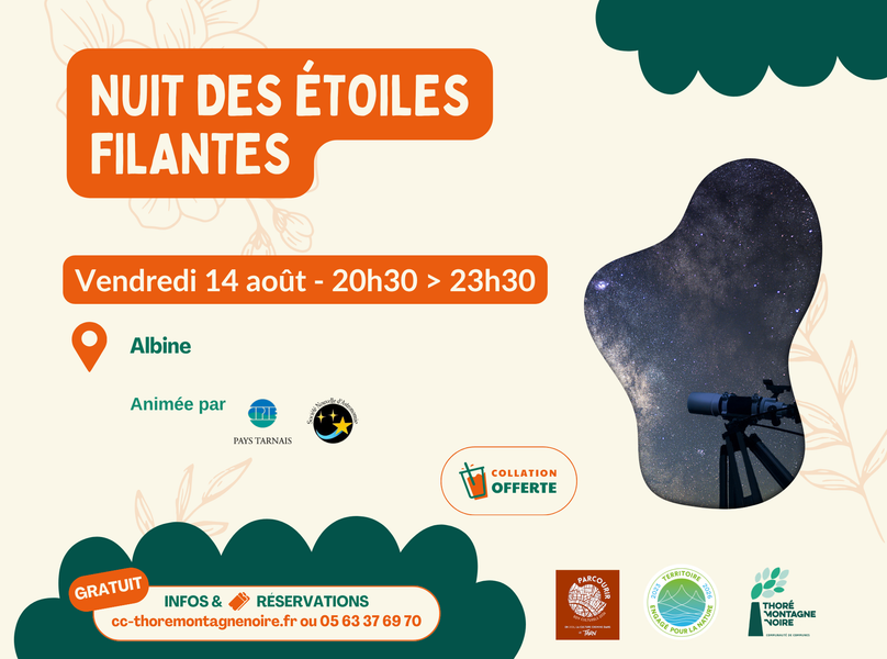 Nuit des étoiles filantes 